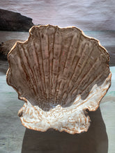 Large Clay Shell Dishes